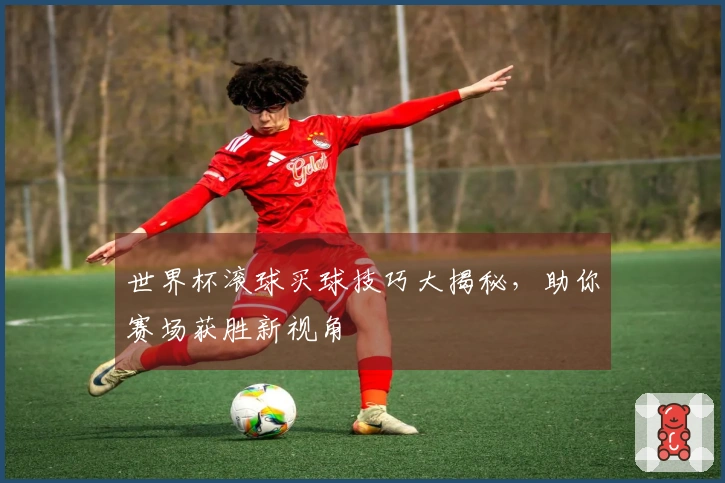 世界杯滚球买球技巧大揭秘，助你赛场获胜新视角