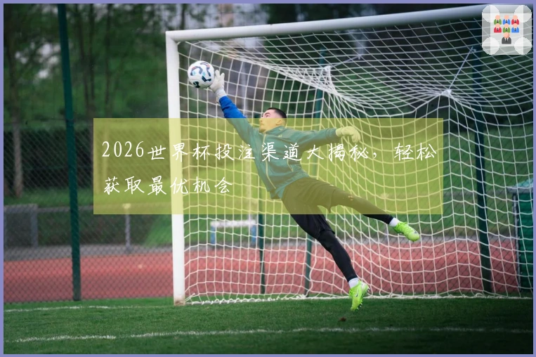 2026世界杯投注渠道大揭秘，轻松获取最优机会