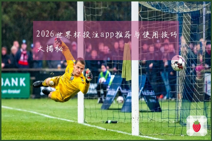 2026世界杯投注app推荐与使用技巧大揭秘