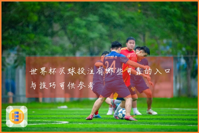 世界杯买球投注有哪些可靠的入口与技巧可供参考