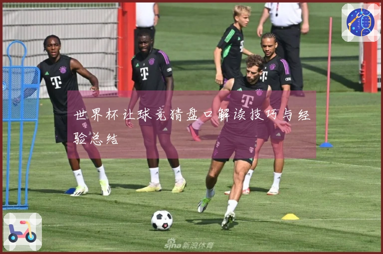世界杯让球竞猜盘口解读技巧与经验总结