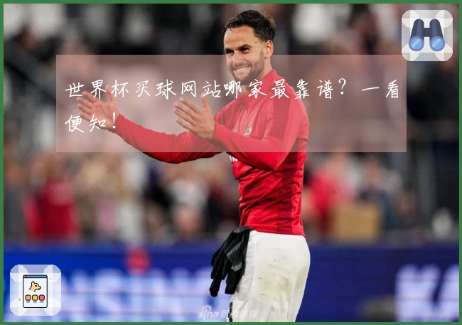 世界杯买球网站哪家最靠谱？一看便知！