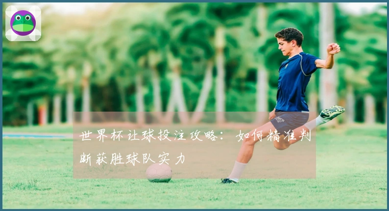 世界杯让球投注攻略：如何精准判断获胜球队实力