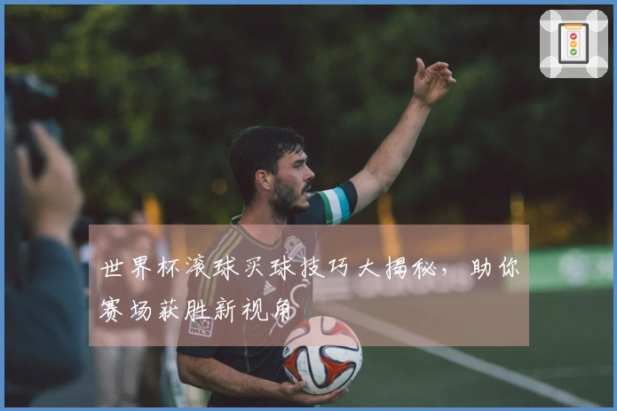 世界杯滚球买球技巧大揭秘，助你赛场获胜新视角