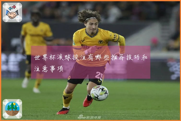 世界杯滚球投注有哪些推荐技巧和注意事项