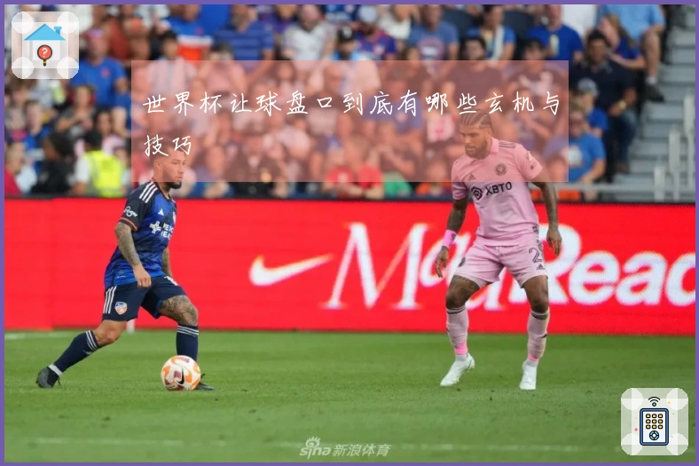世界杯让球盘口到底有哪些玄机与技巧