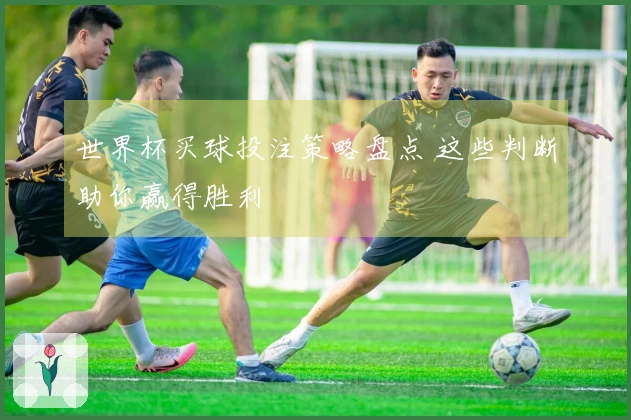 世界杯买球投注策略盘点 这些判断助你赢得胜利