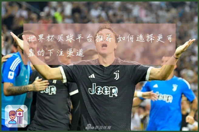 世界杯买球平台推荐 如何选择更可靠的下注渠道