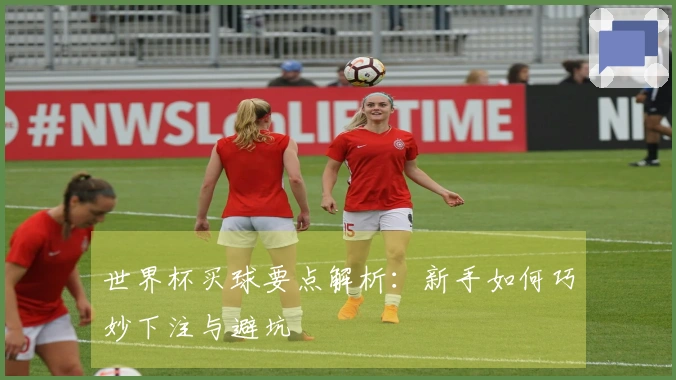 世界杯买球要点解析：新手如何巧妙下注与避坑