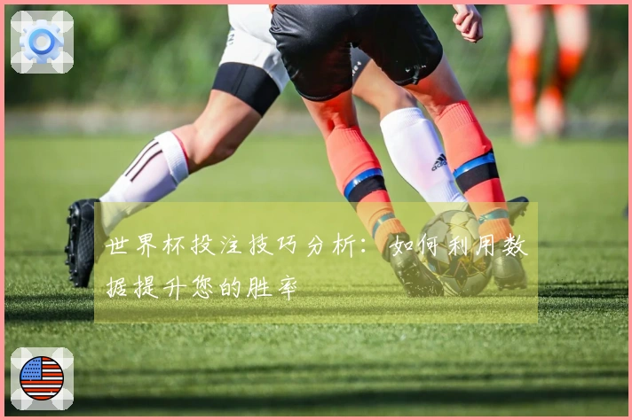 世界杯投注技巧分析：如何利用数据提升您的胜率