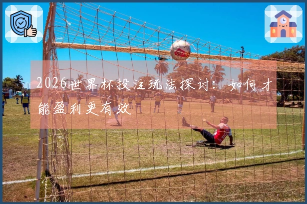 2026世界杯投注玩法探讨：如何才能盈利更有效
