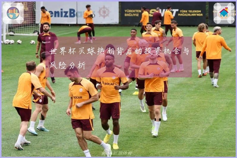 世界杯买球热潮背后的投资机会与风险分析