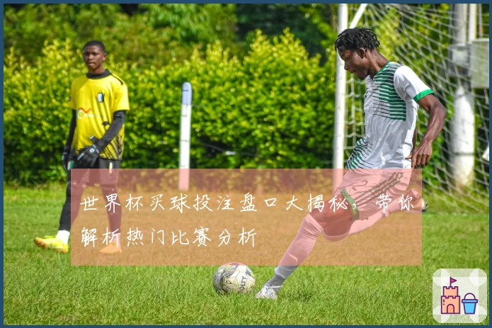 世界杯买球投注盘口大揭秘，带你解析热门比赛分析