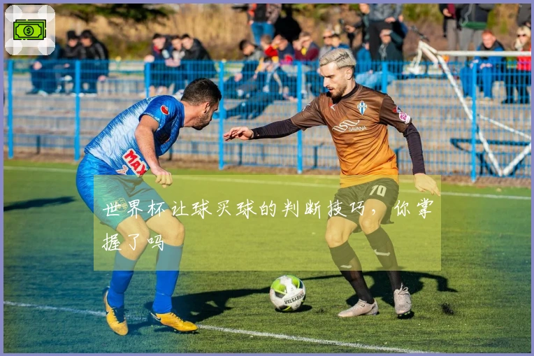 世界杯让球买球的判断技巧，你掌握了吗