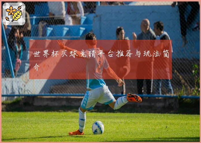 世界杯买球竞猜平台推荐与玩法简介