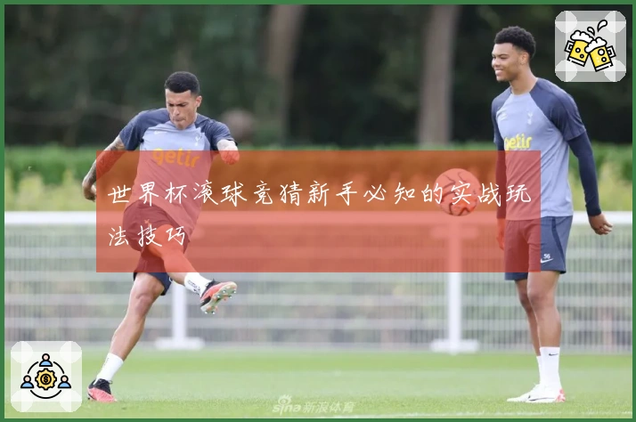 世界杯滚球竞猜新手必知的实战玩法技巧