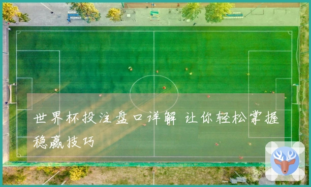 世界杯投注盘口详解 让你轻松掌握稳赢技巧