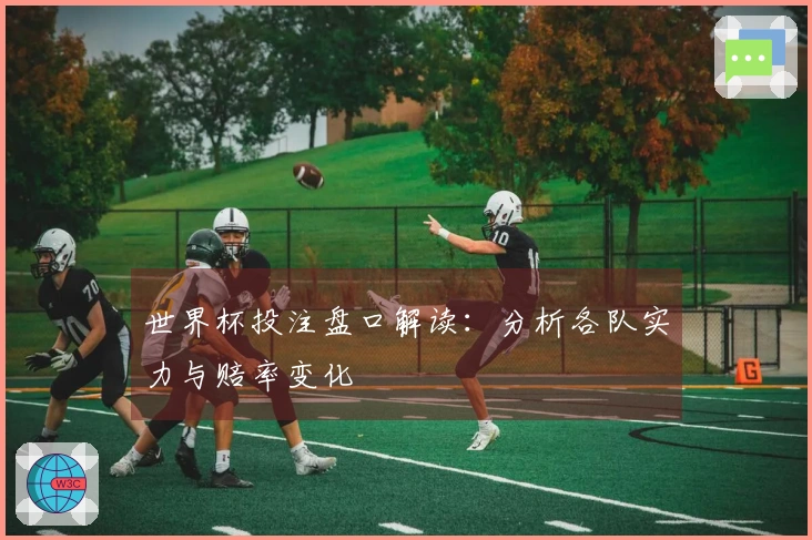 世界杯投注盘口解读：分析各队实力与赔率变化