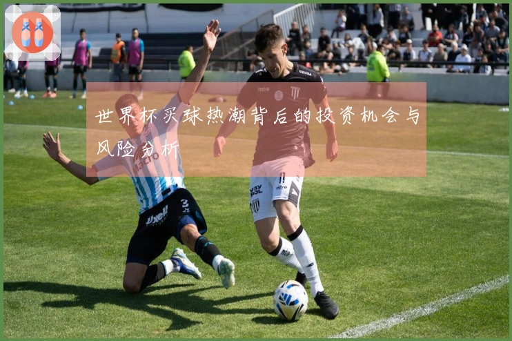 世界杯买球热潮背后的投资机会与风险分析