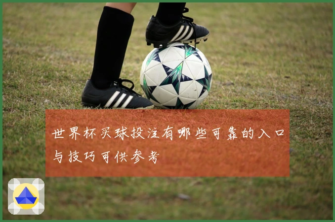 世界杯买球投注有哪些可靠的入口与技巧可供参考